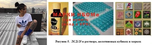 стафф Осинники