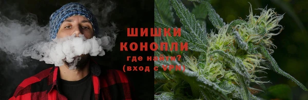 стафф Осинники