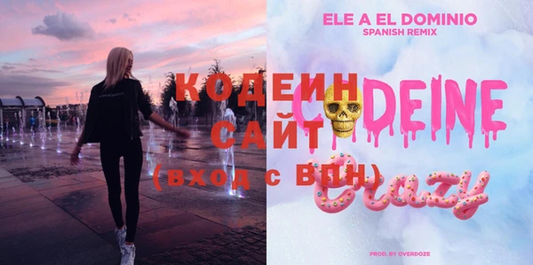 стафф Осинники