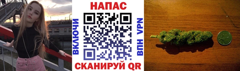 Купить  Красково  Канабис SATIVA & INDICA 